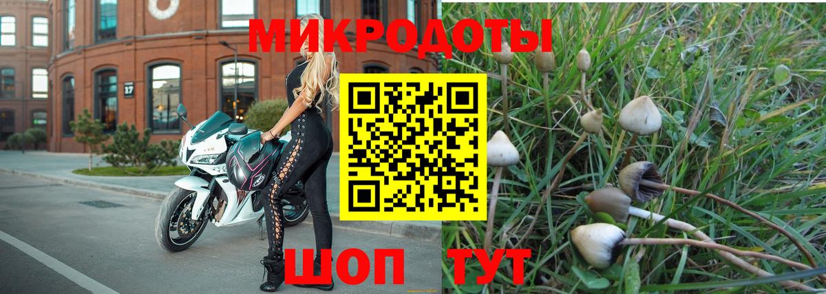 Галлюциногенные грибы мухоморы Изобильный